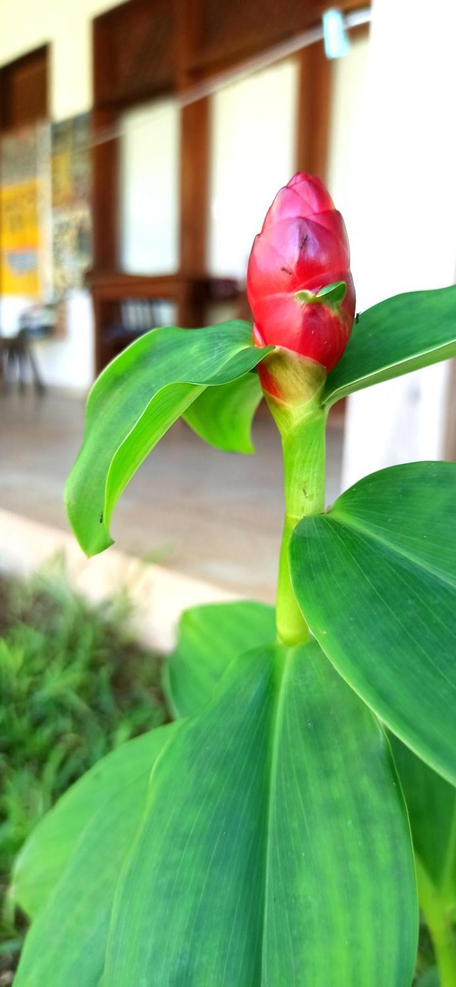 Art Hotel Zanzibar Jambiani  Dış mekan fotoğraf