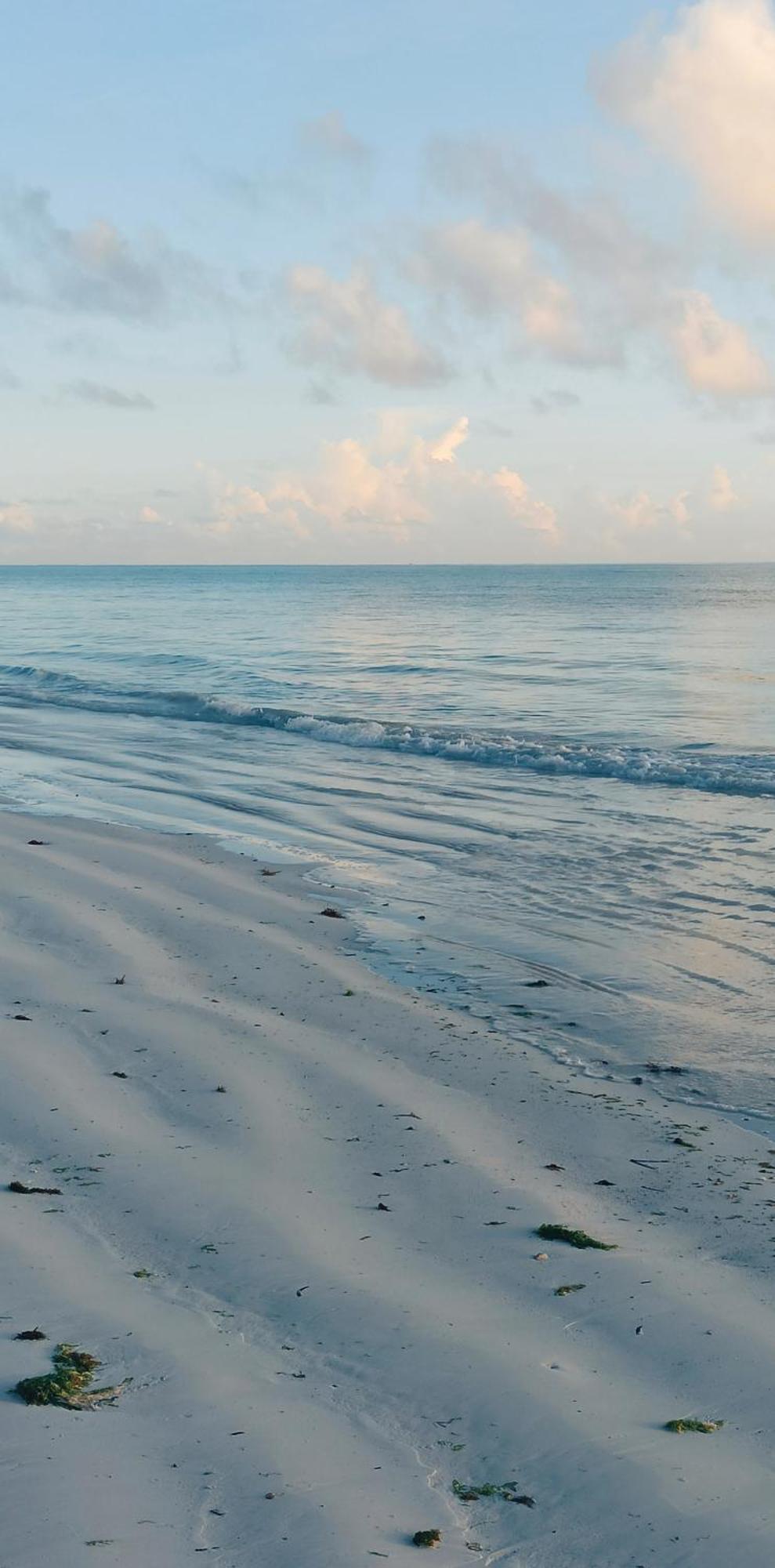 Art Hotel Zanzibar Jambiani  Dış mekan fotoğraf