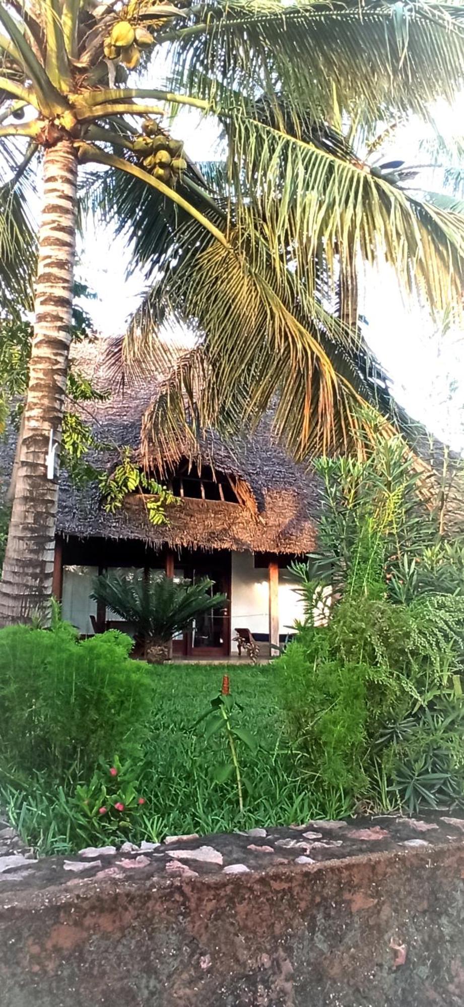 Art Hotel Zanzibar Jambiani  Dış mekan fotoğraf